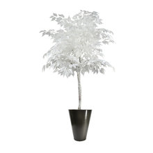 plants and trees