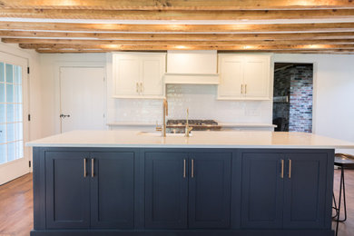 Inspiration for a mid-century modern kitchen remodel in Other