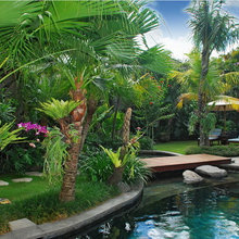 Garden & Outdoor areas
