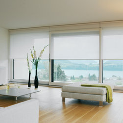 Silent Gliss Roller Blinds - ロールスクリーン