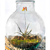 270oz Sphere Recycled Glass Jar with Cork