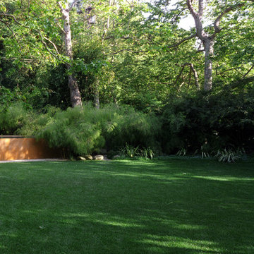 2015 Garden Dialogues: Los Angeles/Santa Monica, Hightree, May 30