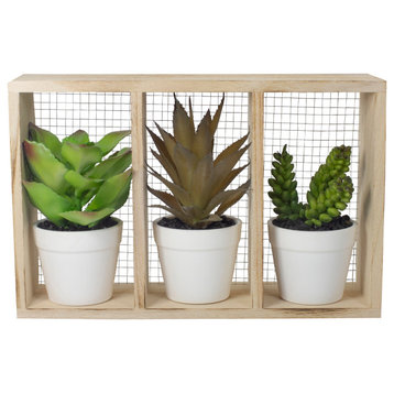 10.75" Artificial Mixed Potted Succulents in Wooden Box