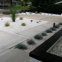 Modern Landscaping