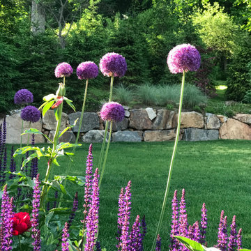garden in summer
