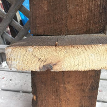 old joists
