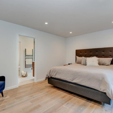 Mastersuite and Hall Bathroom Remodel