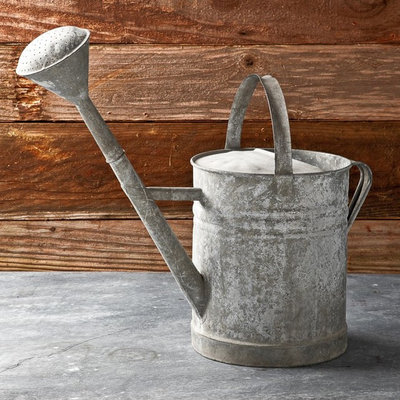 Traditional Watering Cans by Williams-Sonoma