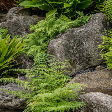 Hawaiian Landscape