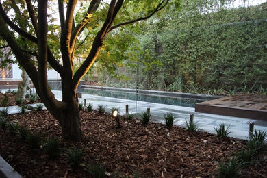 This is an example of a contemporary pool in Melbourne.