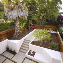 Landscape Ideas