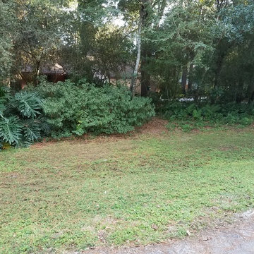 Kingwood retro