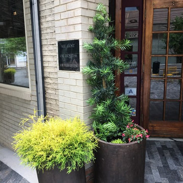 Sassafras Southern Bistro, Greenville SC