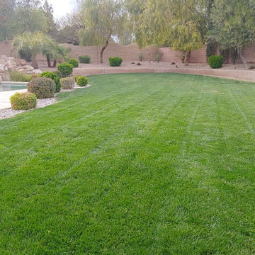 Yard Maintenance