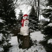 AlandSue Bussinger's photo