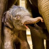 Alexis Doktor's photo