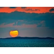 Rose Kelly's photo