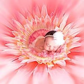 Foto von Martha Almanzar
