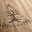 Wild Burl Woodworks