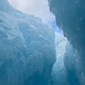 Julie Wood's photo
