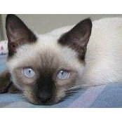 Patty Garcia's photo