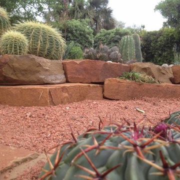 Xeriscape #1