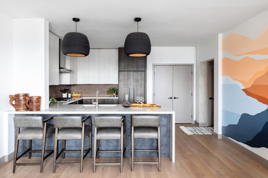 Kitchen - contemporary kitchen idea in San Diego
