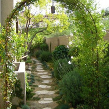 side yard