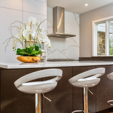 Picture perfect bright and dark Family oriented kitchen in Greenwich CT (2019)