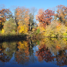 Fall Colors on the Lake