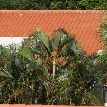 Clay Tile Roofing