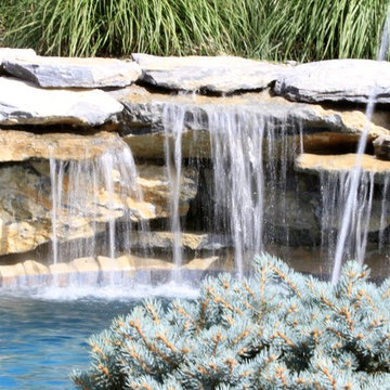 Custom Freeform style salt water in ground pool with Pool House and Raised Spa