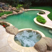 backyard and pool