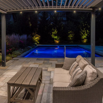 Contemporary Backyard - Montclair, NJ