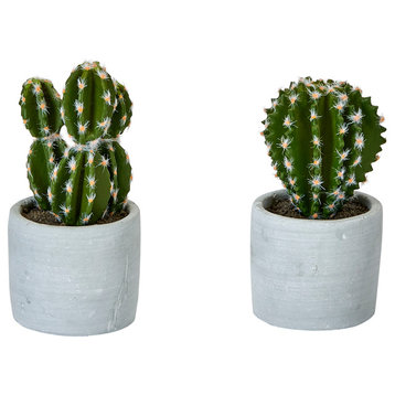 Cactus In Ceramic Pot, 2-Piece Set, 5"