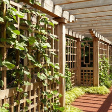 Pergolas