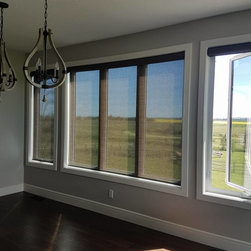 Hunter Douglas Roller/Screen Shades - Window Blinds