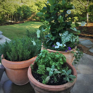 Farmhouse Revival