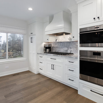 Kitchen Remodel Burr Ridge