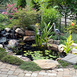 8' x 11' eco-system pond - Outdoor Lighting