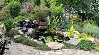 8' x 11' eco-system pond