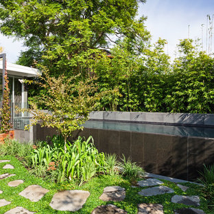 Hawthorn Infinity Lap Pool and Spa