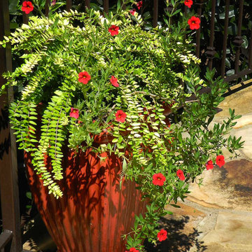 Monet Garden