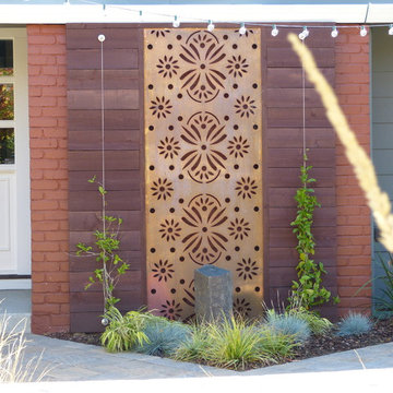 Contemporary Front Yard