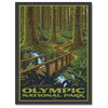 Olympic National Park Canvas Print by Artist Paul Leighton, 18"x24"