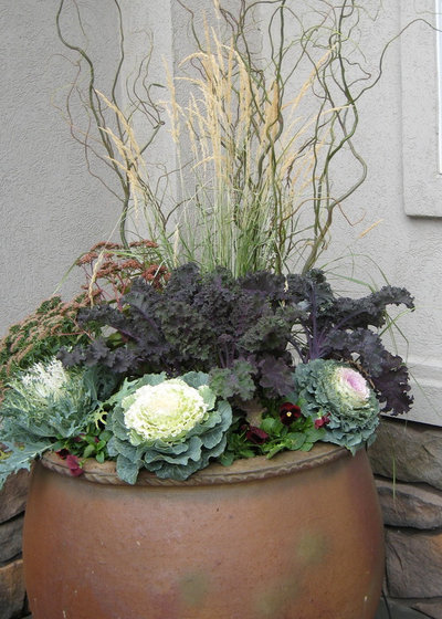 Фьюжн  by Lush Custom Gardening Company