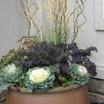 Fall Container Planting