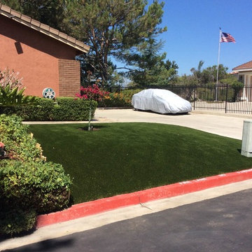 Artificial Turf - Front Yard
