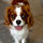 jaycie1057