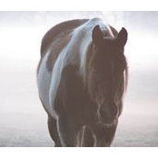 Debbie Unkenholz's photo